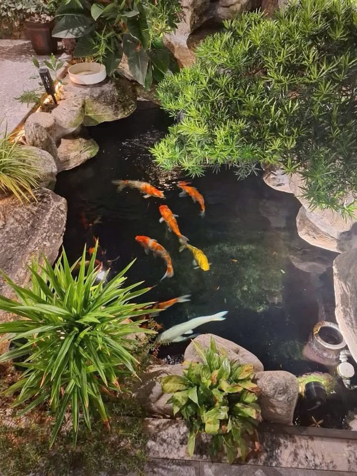 Biệt thự song lập Yên Sở 160m² giá 35 triệu - Full nội thất sang trọng!