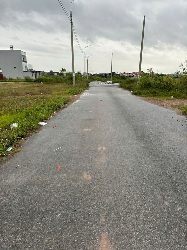 Đất đấu giá 100m² tại Thôn Hà, Việt Yên - Đầu tư sinh lời ngay!