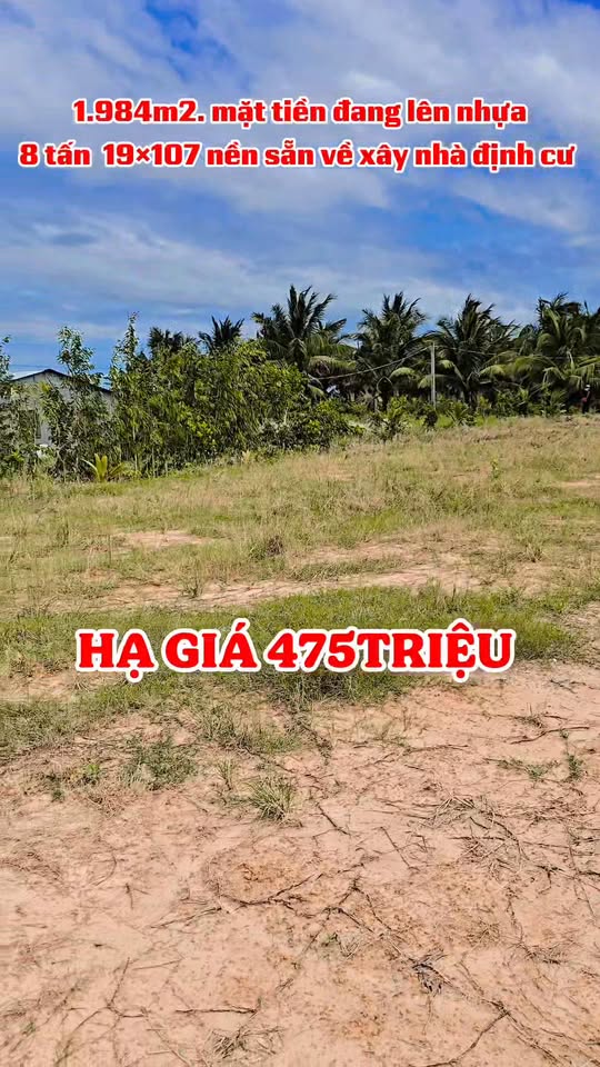 Đất nền 1984m² đường Lộ Bình Hòa Tây, Mộc Hóa chỉ 475 triệu - Cơ hội đầu tư hấp dẫn!