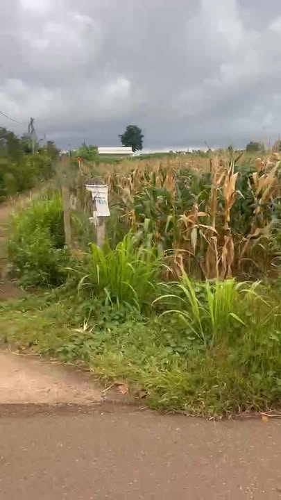 Đất nền mặt tiền đường Gò Thùng, Xuân Sơn, 600m² chỉ 1.3 tỷ - Cơ hội đầu tư tuyệt vời!