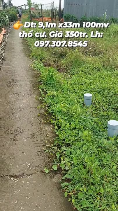 Đất nền Tân Thuận Bình, Tiền Giang 300m² giá 350 triệu - Cơ hội đầu tư sinh lời!