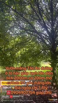 Đất vườn Tân An 2000m² giá 7.8 tỷ - Chủ cần bán gấp trong 7 ngày!