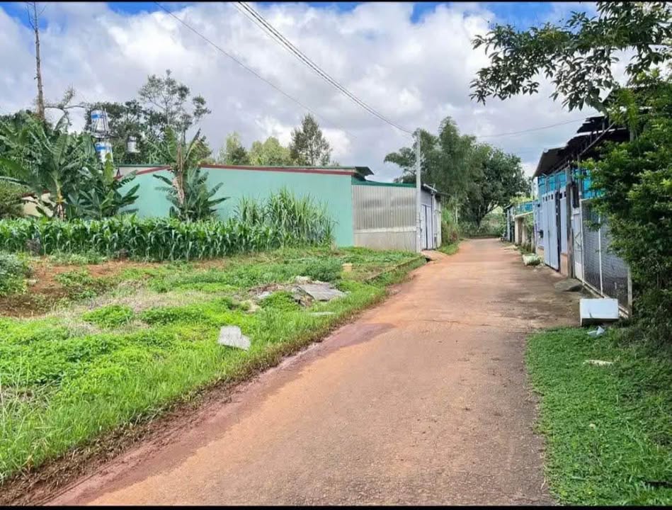 Đất thổ cư Bảo Lộc 150m² giá 1.43 tỷ - Xây dựng tự do ngay!