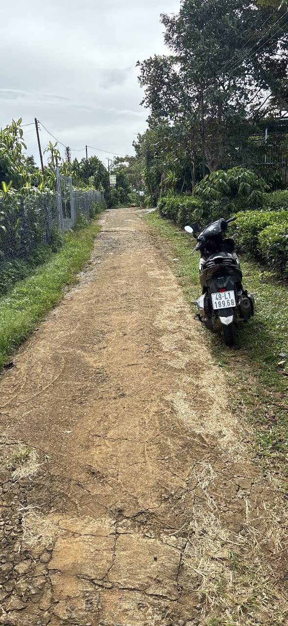 Đất nền hẻm Phan Đình Phùng, Bảo Lộc 708m² giá chỉ 1.5 tỷ - Đầu tư sinh lời ngay!