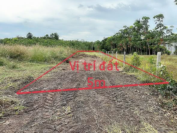 Đất nền Thạnh Đức, Gò Dầu 164m² giá chỉ 380 triệu - Đầu tư sinh lời ngay!