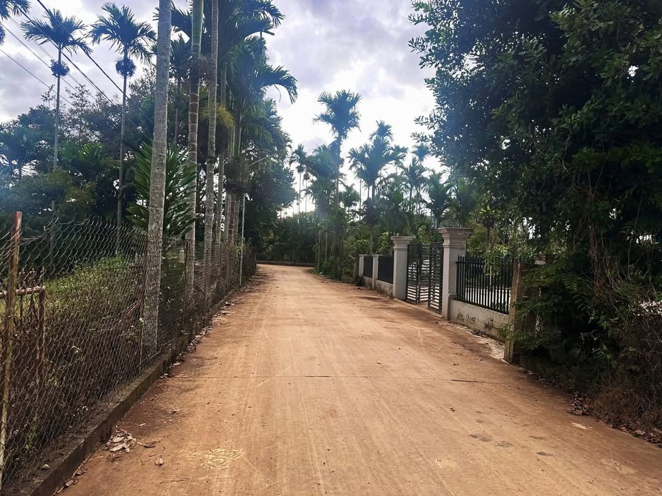 Đất thổ cư chính chủ tại P. Thống Nhất, Buôn Hồ - 175m² chỉ 770 triệu