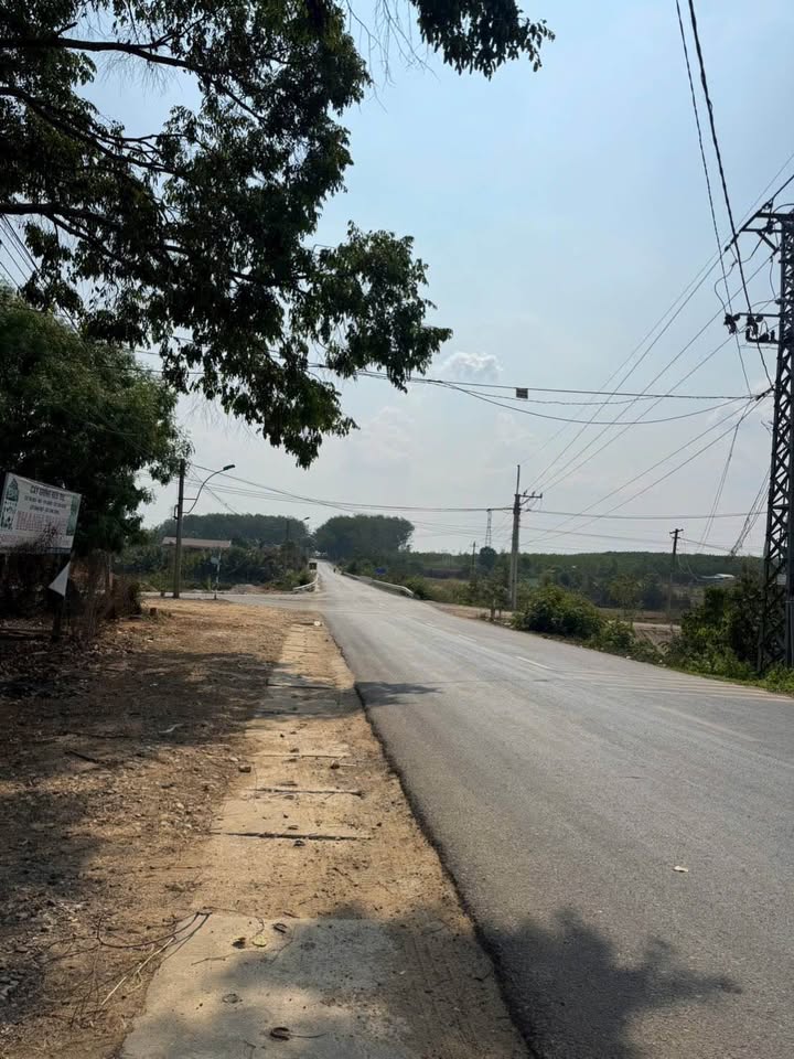 Đất mặt tiền đường Tỉnh lộ 675, xã Vinh Quang, 720m² - Phù hợp làm nhà vườn hoặc kho bãi!