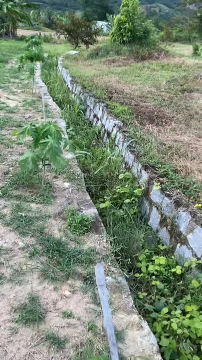 Trang trại 24.000m² tại Ninh Sơn, Ninh Thuận - Giá chỉ 8.64 tỷ VND, cơ hội đầu tư hấp dẫn!