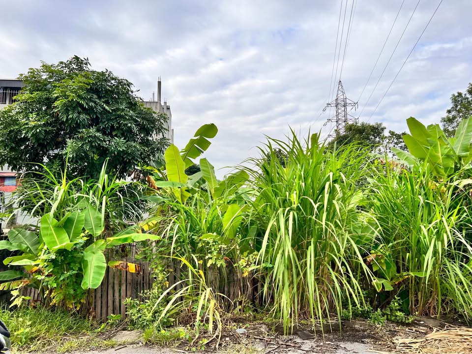 Đất nền Duy Tiên 143m² giá thỏa thuận - Sổ đỏ chính chủ, xây phòng trọ cho thuê!