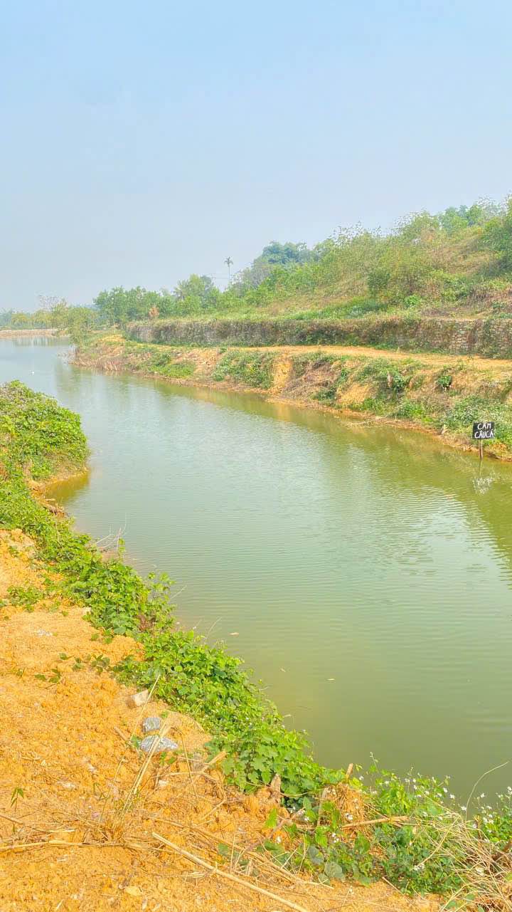 Đất nền Nhuận Trạch, Lương Sơn 2500m² giá chỉ 3 triệu/m² - Đầu tư tiềm năng!