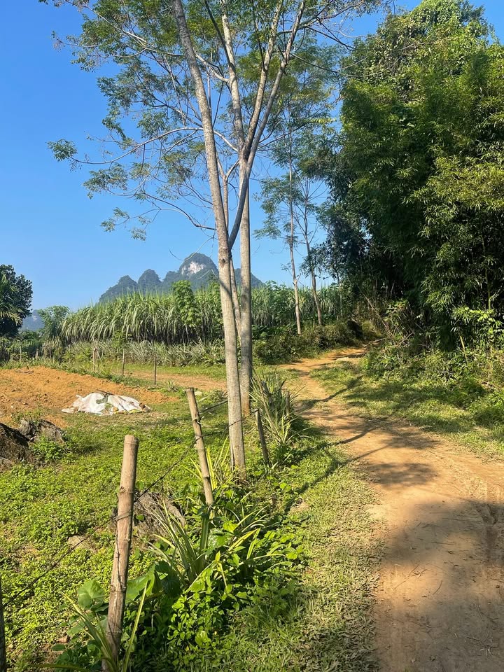 Đất nền Phú Vinh, Tân Lạc 100,6m² giá chỉ 6xx triệu - Cơ hội đầu tư tuyệt vời!