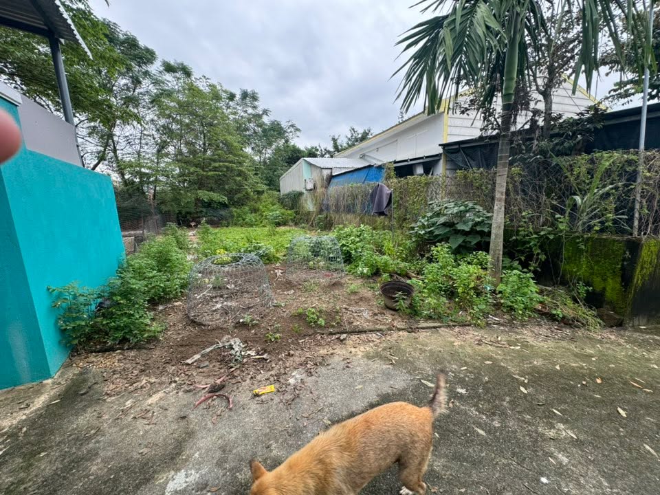 Đất nền Hòa Xuân 128m² giá 1.85 tỷ - Không ngập lụt, vị trí đẹp!