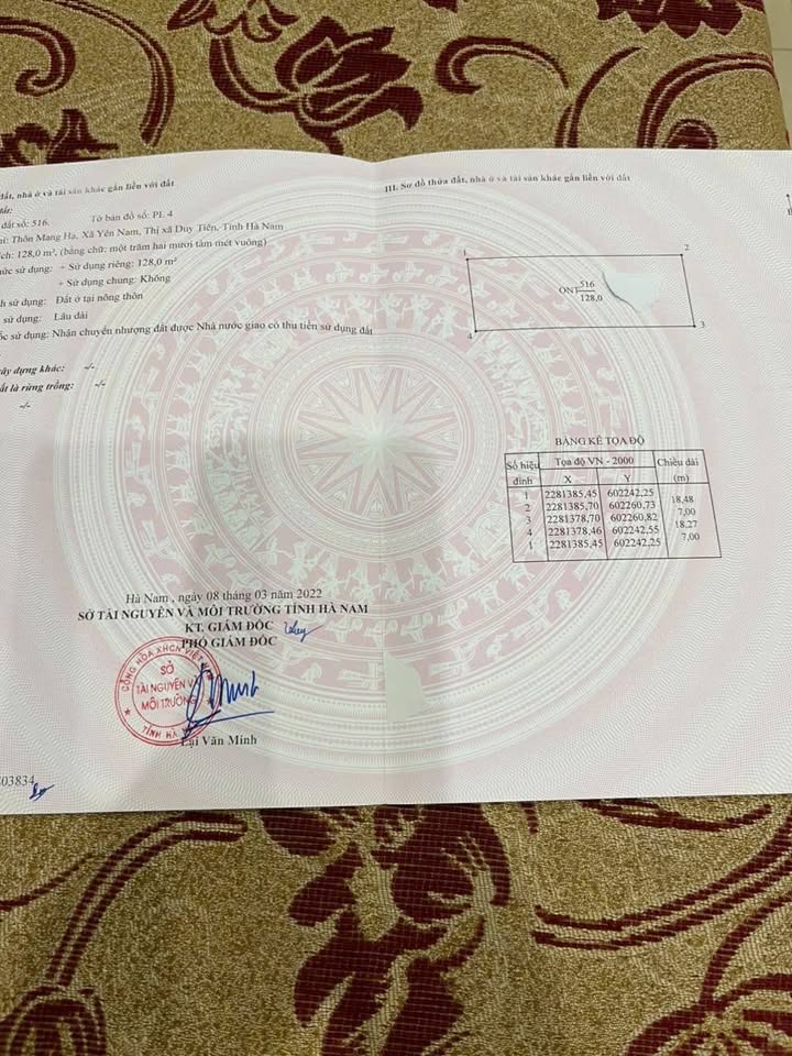 Lô đất đấu giá Yên Nam, Duy Tiên - 128m² giá chỉ 2 triệu/m² - Cơ hội đầu tư hấp dẫn!