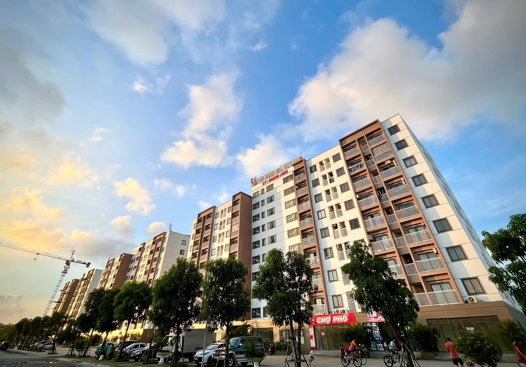 Shophouse Chung cư Hoàng Long Tào Xuyên 68m² giá 1 tỷ - Tiềm năng kinh doanh tuyệt vời!