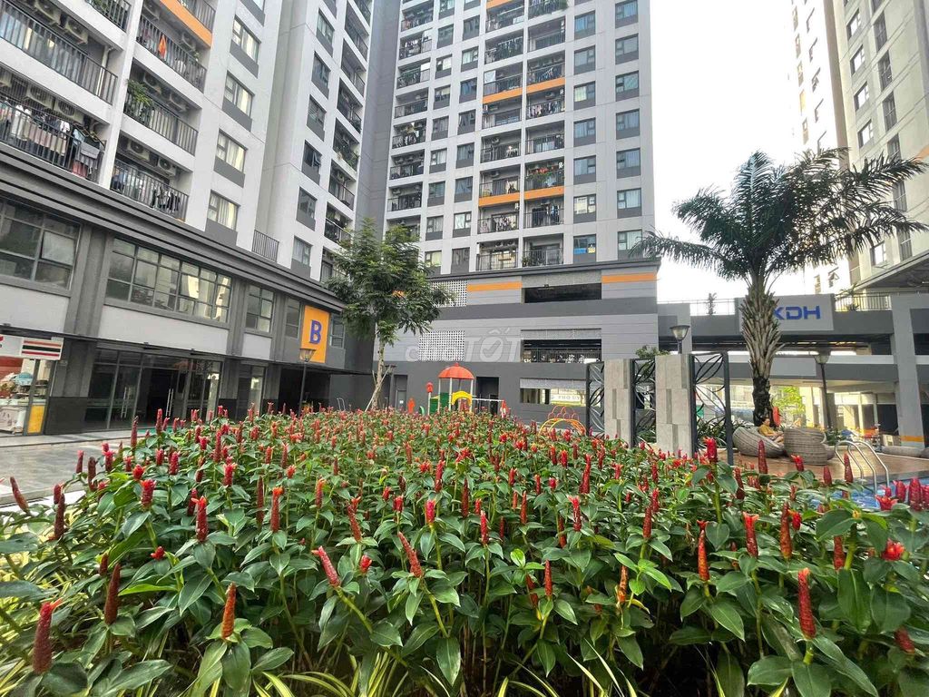 Căn hộ Lovera Vista Bình Chánh 72m² - Chỉ 7.5 triệu/tháng - Sẵn sàng vào ở!