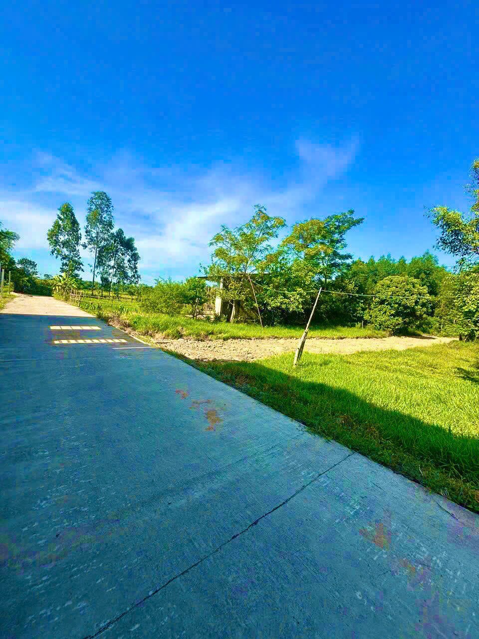 Đất nền Đại Hiệp 225m² giá 700 triệu - Cơ hội đầu tư không thể bỏ lỡ!