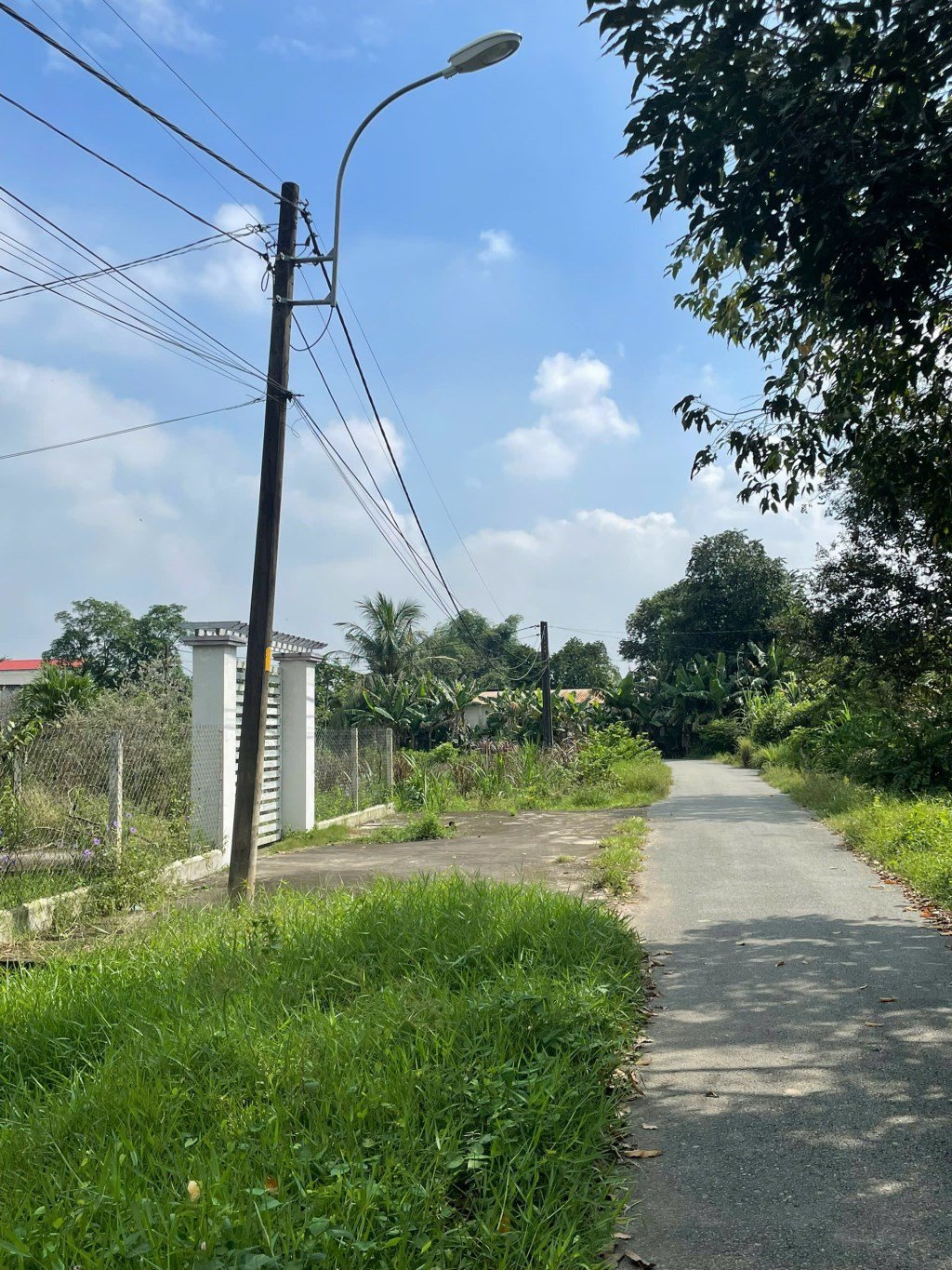 Lô đất 300m² Thái Mỹ, Củ Chi chỉ 1.58 tỷ - Sổ hồng chính chủ, xây dựng tự do!