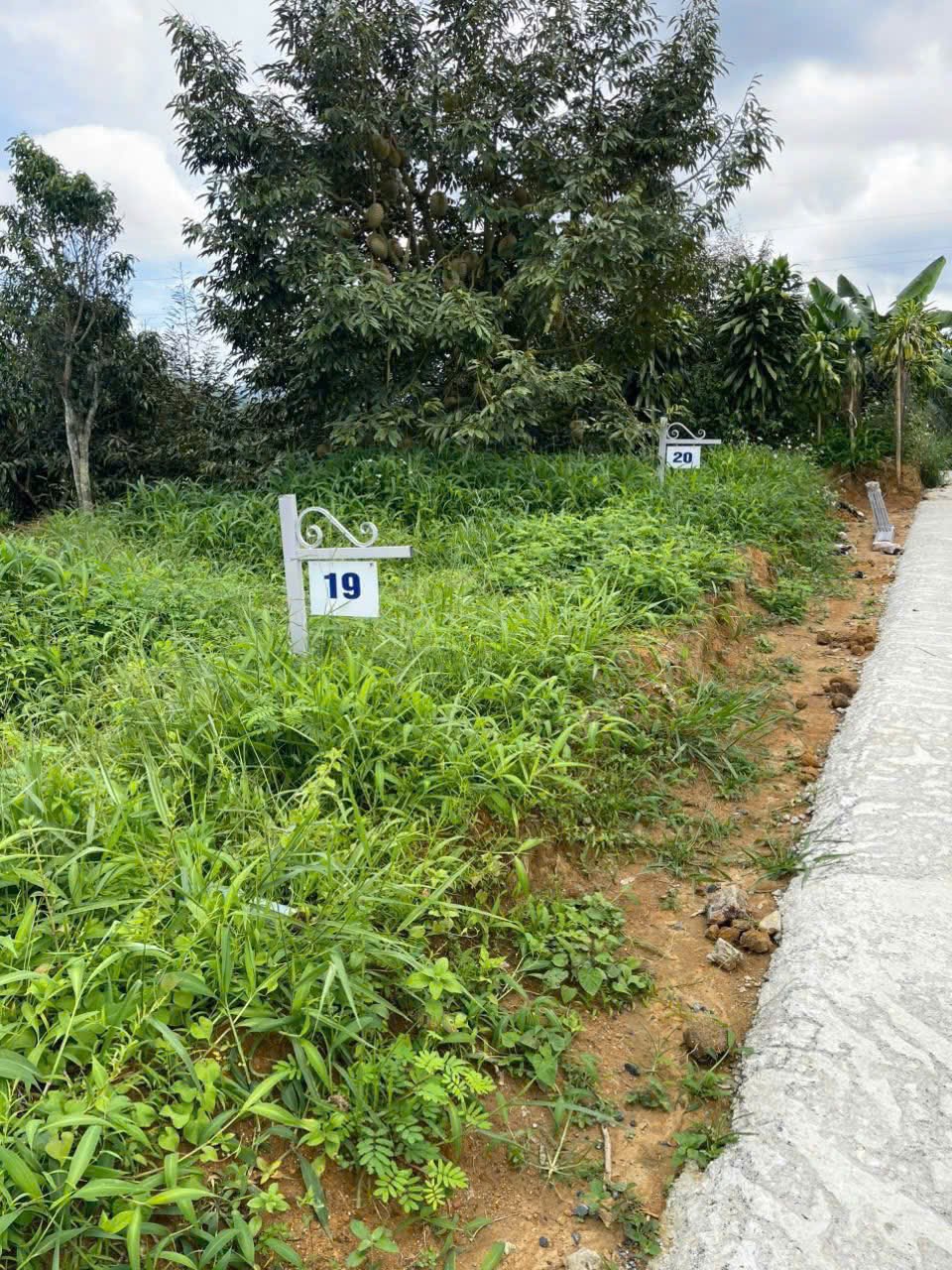 Đất nền Lộc Nam Bảo Lộc 220m² giá 780 triệu - Đầu tư sinh lời bền vững!