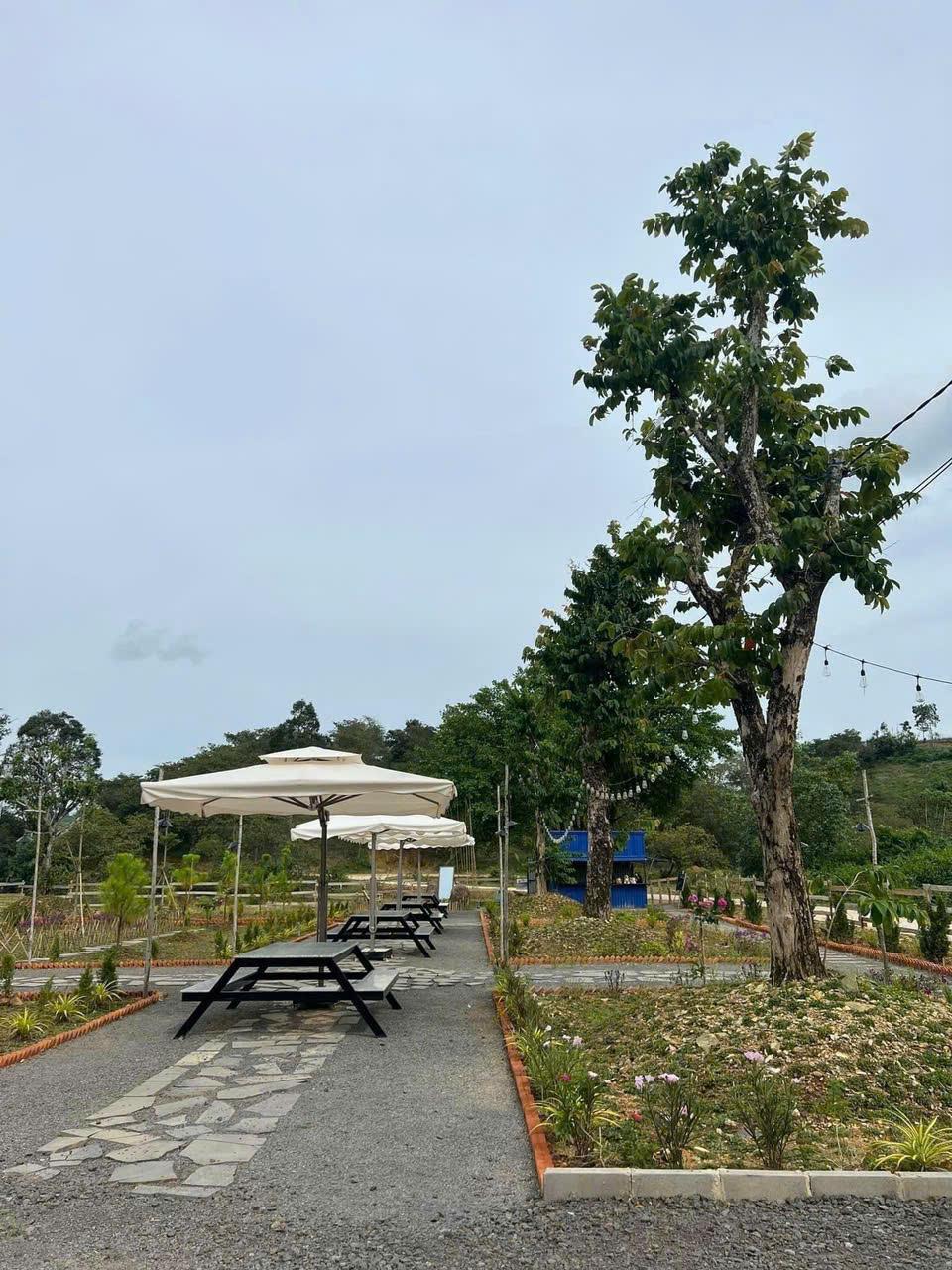 Bán đất thương mại dịch vụ 9.170m² tại ấp Bàu Chim, Tân Phú, Đồng Nai - Giá tốt, cơ hội đầu tư hấp dẫn!