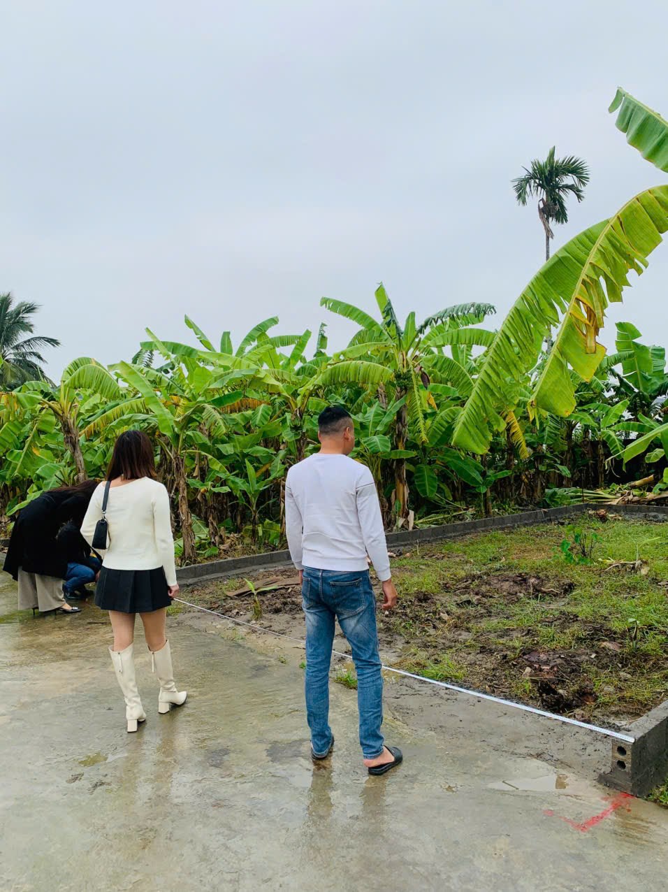 Đất nền chính chủ Trực Trang, An Trường, Hải Phòng 51.80m² chỉ 550 triệu - Cơ hội đầu tư tuyệt vời!