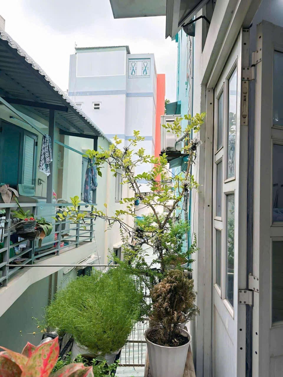 Nhà riêng CMT8, Quận 3 29m² giá 3.99 tỷ - Sổ hồng 2 tầng chính chủ!