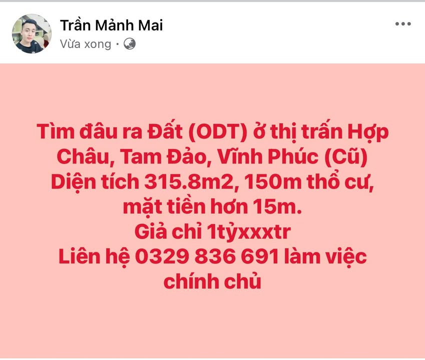 Đất thổ cư Hợp Châu, Tam Đảo 315.8m² chỉ 1.3 tỷ - Cơ hội đầu tư tuyệt vời!