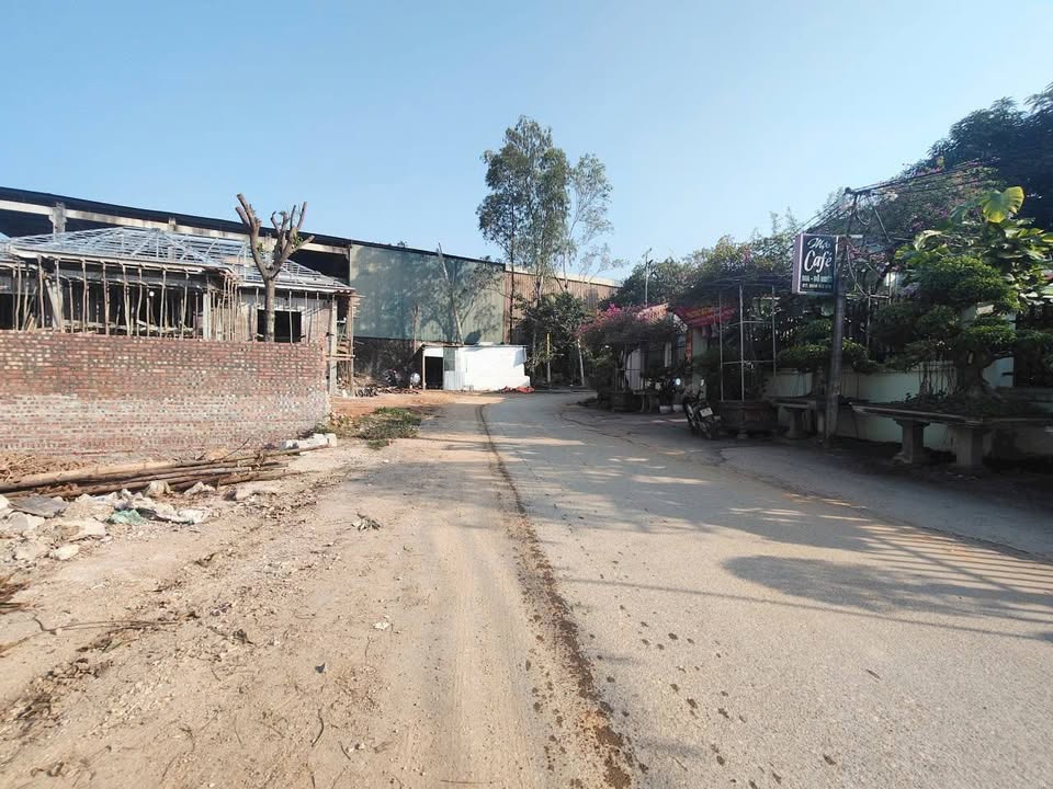 Đất thổ cư tại Đạo Tú, Tam Dương 150m² giá 1.6 tỷ - Mặt tiền kinh doanh đắc địa!