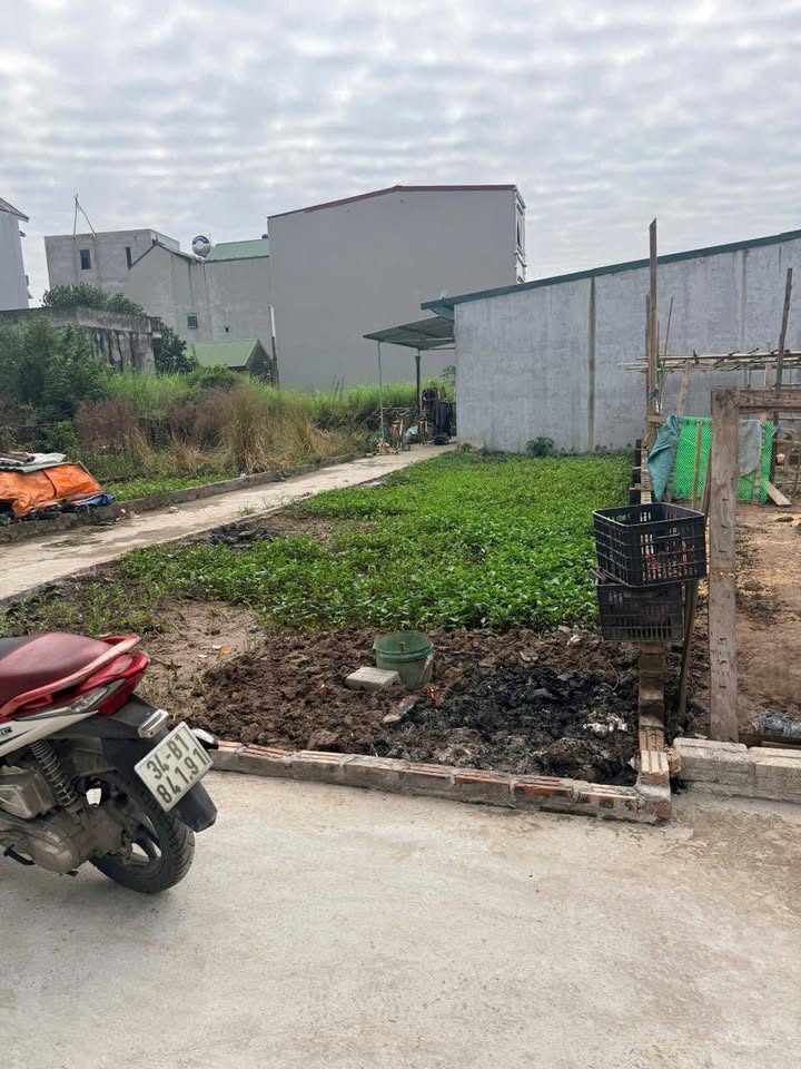 Đất nền Thường Tín 74.8m² giá 4.563 tỷ - Mặt tiền ô tô vào tận nơi!