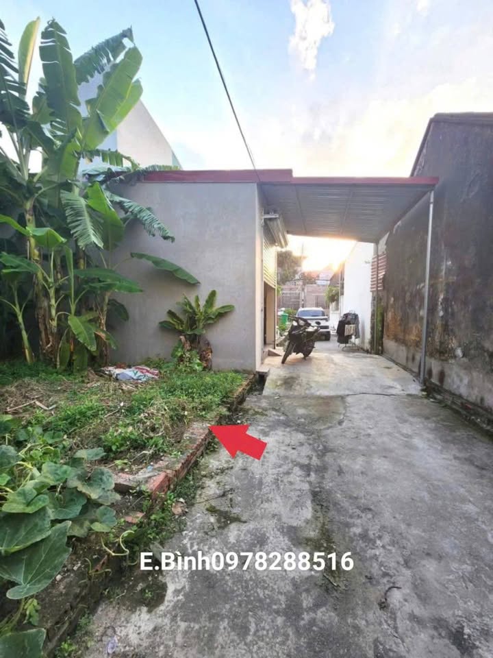 Đất Thổ Cư 48,5m² Thôn Đông, Xã Việt Hùng - Hướng Đông Bắc, Ô Tô Vào Tận Đất!