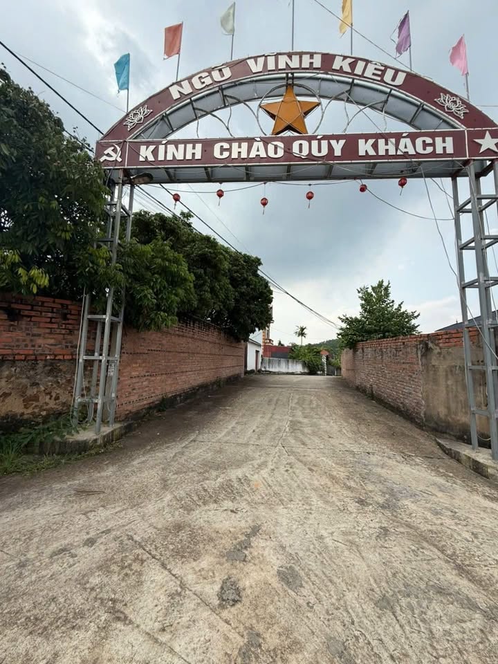 Đất nền Tân An, Bắc Giang 100m² giá 1.5 tỷ - Đường ô tô vào tận nơi!