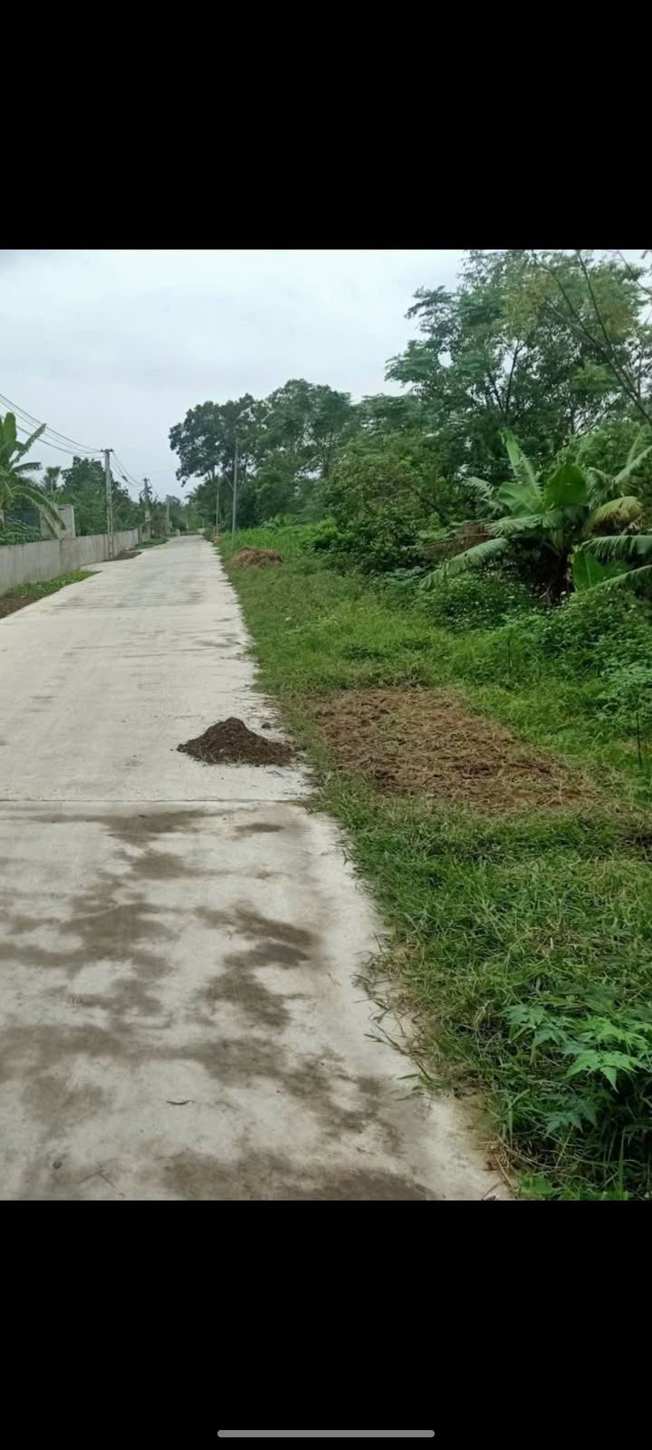 Đất nền Quảng Hợp 218m² giá 1 tỷ - Đầu tư sinh lời tại vị trí đắc địa!