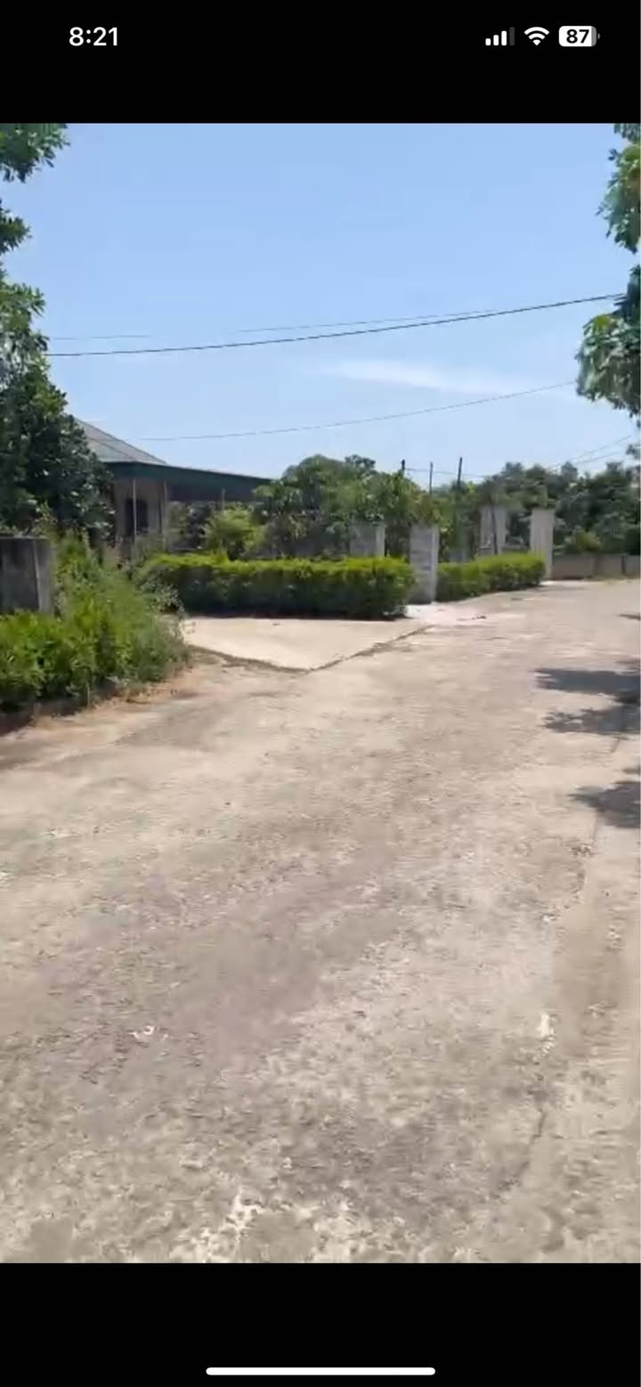 Đất thổ cư Thạch Trị 250m² giá 1.25 tỷ - Cần bán gấp chính chủ!