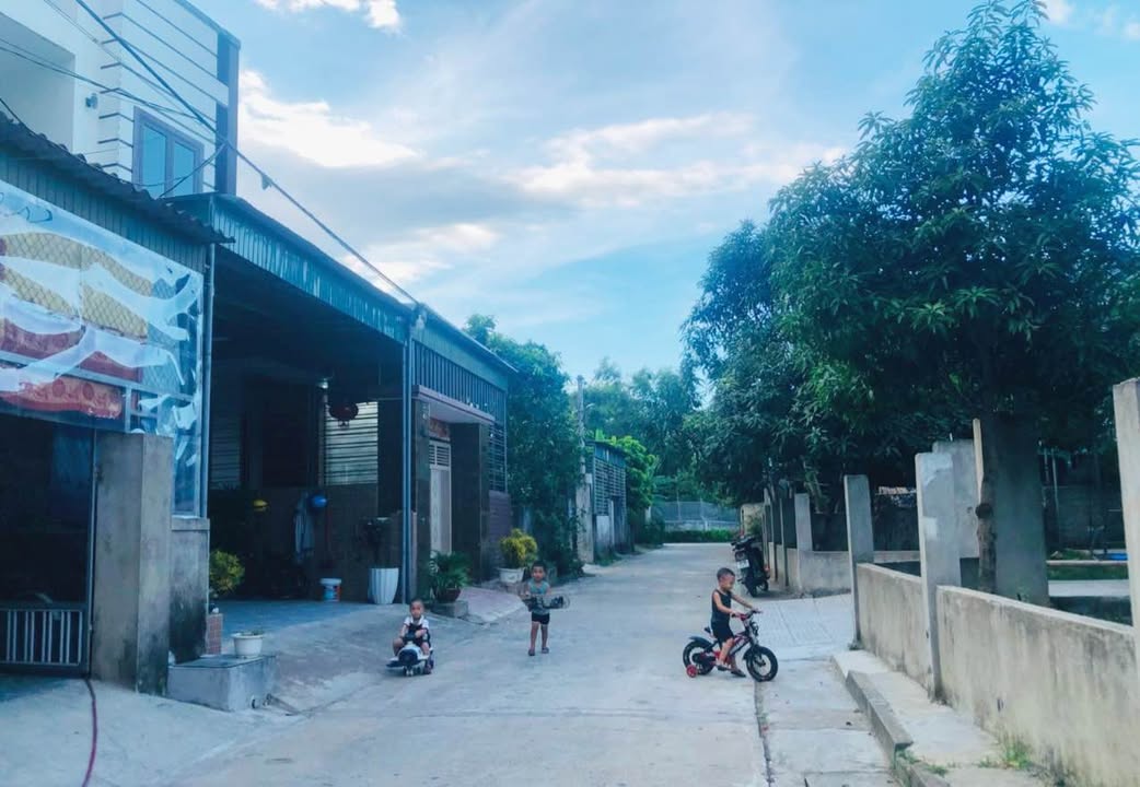 Bán lô đất thôn Tân Tiến, xã Tân Lâm Hương 114m² - Gần khu quy hoạch cầu Nủi!