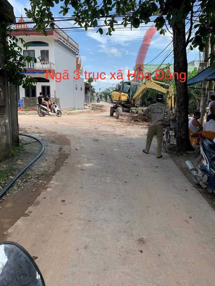 Đất nền Hoa Động Thủy Nguyên 125m² giá 3.1 tỷ - Đầu tư sinh lời ngay!