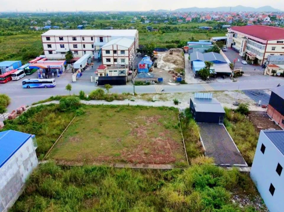 Đất nền Ngũ Lão, Thủy Nguyên 150m² giá 3 tỷ - Đầu tư sinh lời ngay!