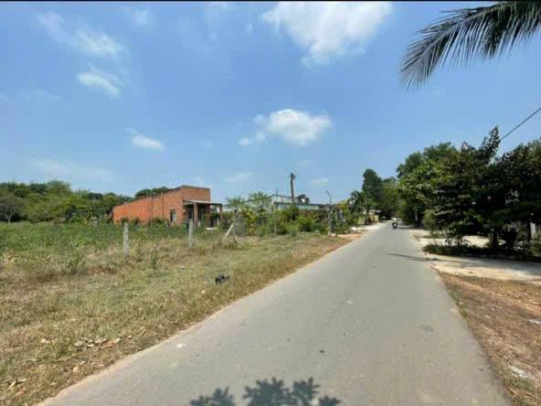 Đất mặt tiền Đoàn Minh Triết Củ Chi 1623m² giá 7 tỷ - Cơ hội đầu tư tuyệt vời!