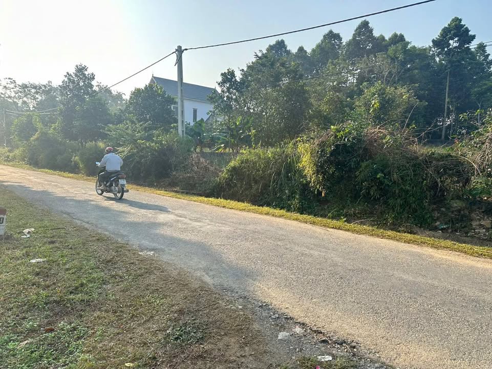 Đất nền 537m² tại Cao Dương, Lương Sơn - Đường nhựa, giá thỏa thuận hấp dẫn!