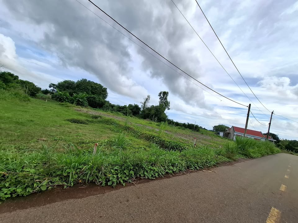 Đất thổ cư 203m² tại Phước Long Thọ, Đất Đỏ - Giá chỉ 499 triệu