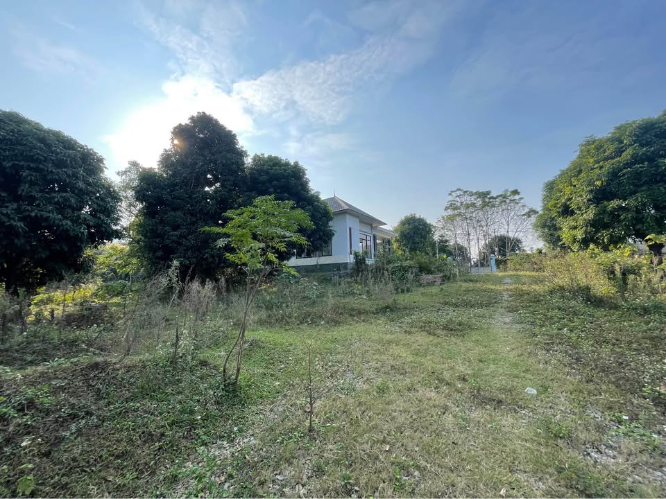 Đất nền 3100m² tại Phú Ngọc, Lương Sơn giá 20 tỷ - Pháp lý sạch, công chứng ngay!