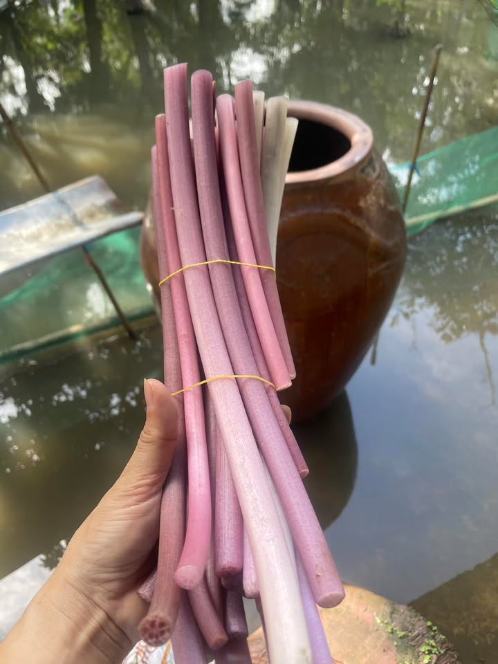 Nhà trệt gác hoàn công Cái Khế, Cần Thơ 59m² giá 2.95 tỷ - Tiện ích đầy đủ