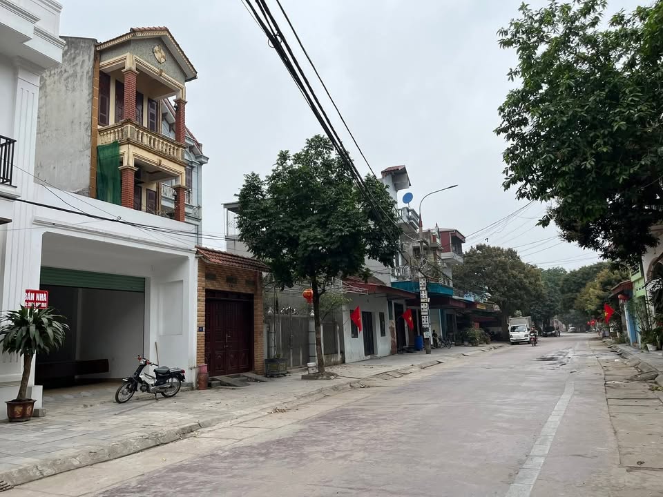 Đất Hồng Châu Hưng Yên 100.8m² - Kinh doanh sầm uất gần Hồ bán nguyệt!