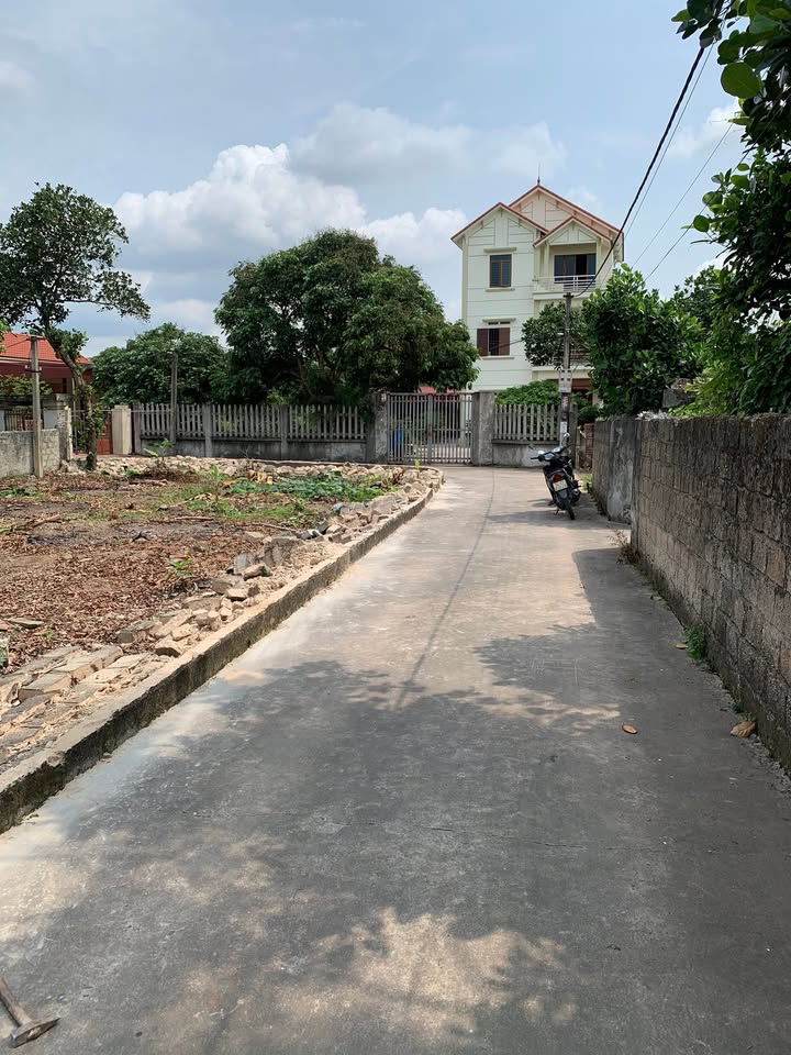 Đất Phường Nguyễn Trãi, Chí Linh 274m² - Đầu tư sinh lời ngay!