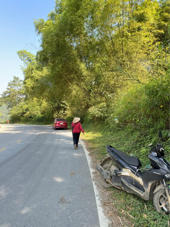 Trang trại 8000m² tại Tả Phời, Lào Cai giá chỉ 1.1 tỷ - Sẵn sàng giao dịch ngay!