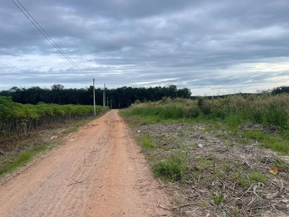 Đất SKC Bình Mỹ Bắc Tân Uyên 26.400m² giá 64.872 tỷ - Pháp lý rõ ràng, tiềm năng đầu tư cao!