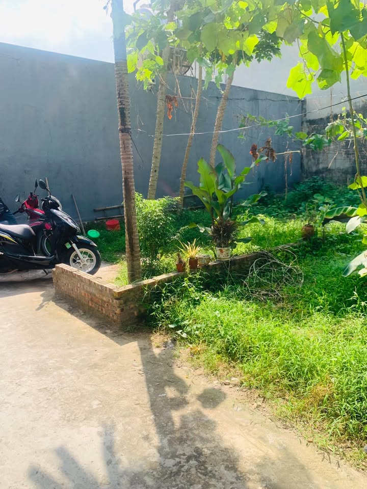 Nhà bán Uy Nỗ Đông Anh 45m² giá 2 tỷ - Vị trí đắc địa, hiếm có!