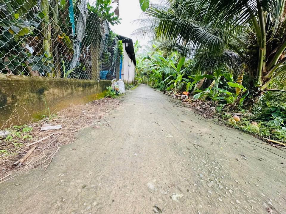 Đất vườn 3000m² tại Ấp Thạnh Hưng, Đồng Tháp - Giá 2 tỷ, thương lượng ngay!