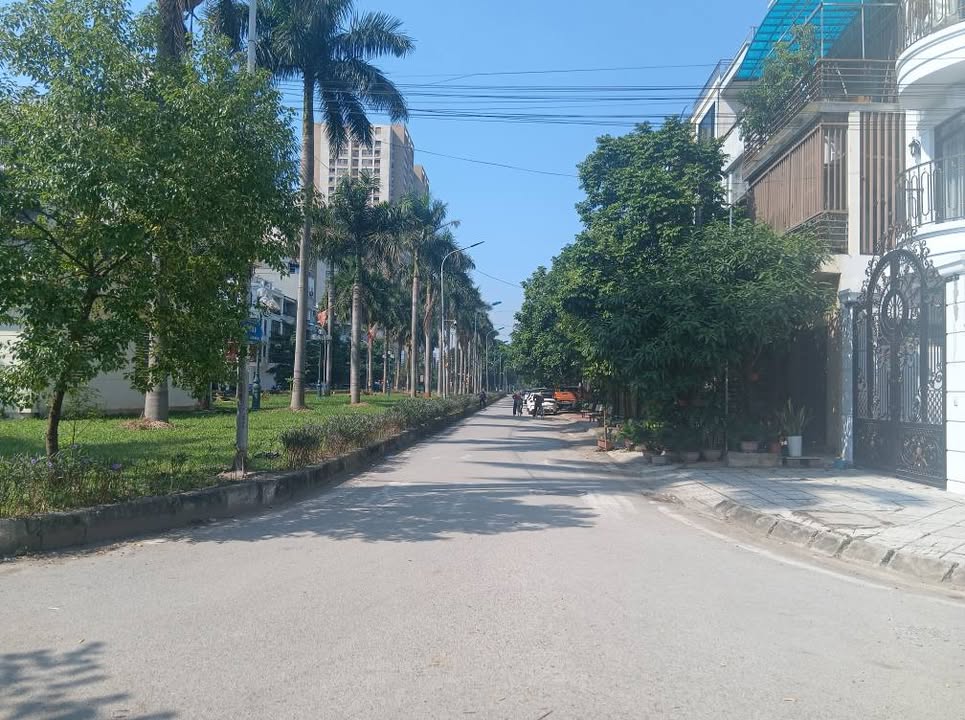 Đất Dịch Vụ Tân Tây Đô 49m² giá 7.8 tỷ - Vỉa hè rộng, ô tô tránh thoải mái!