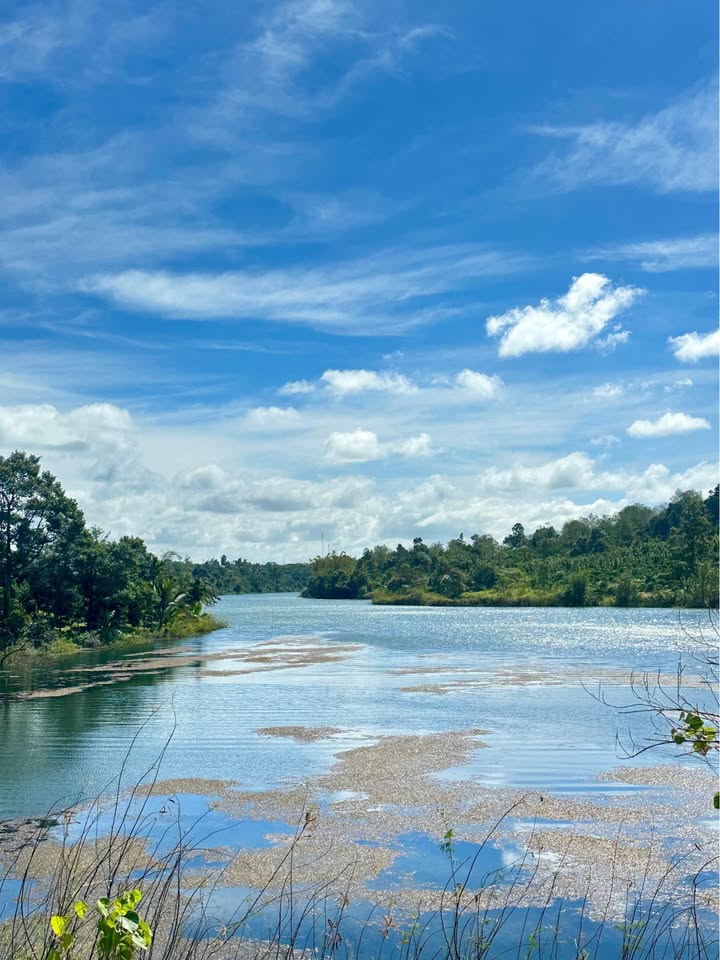 Đất thổ cư 210m² tại Đắk R'Lấp - View hồ tuyệt đẹp, giá tốt!