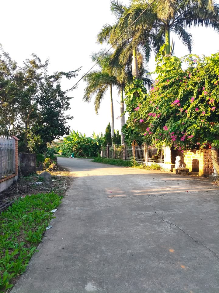 Đất thổ cư 204m² tại Đầm, Phượng Sơn, Bắc Ninh - Giá chỉ 1 tỷ!