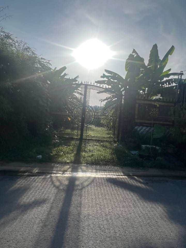 Đất nền Tân Thạnh Tây, Củ Chi 495m² giá 6,5 tỷ - Đầu tư sinh lời ngay!